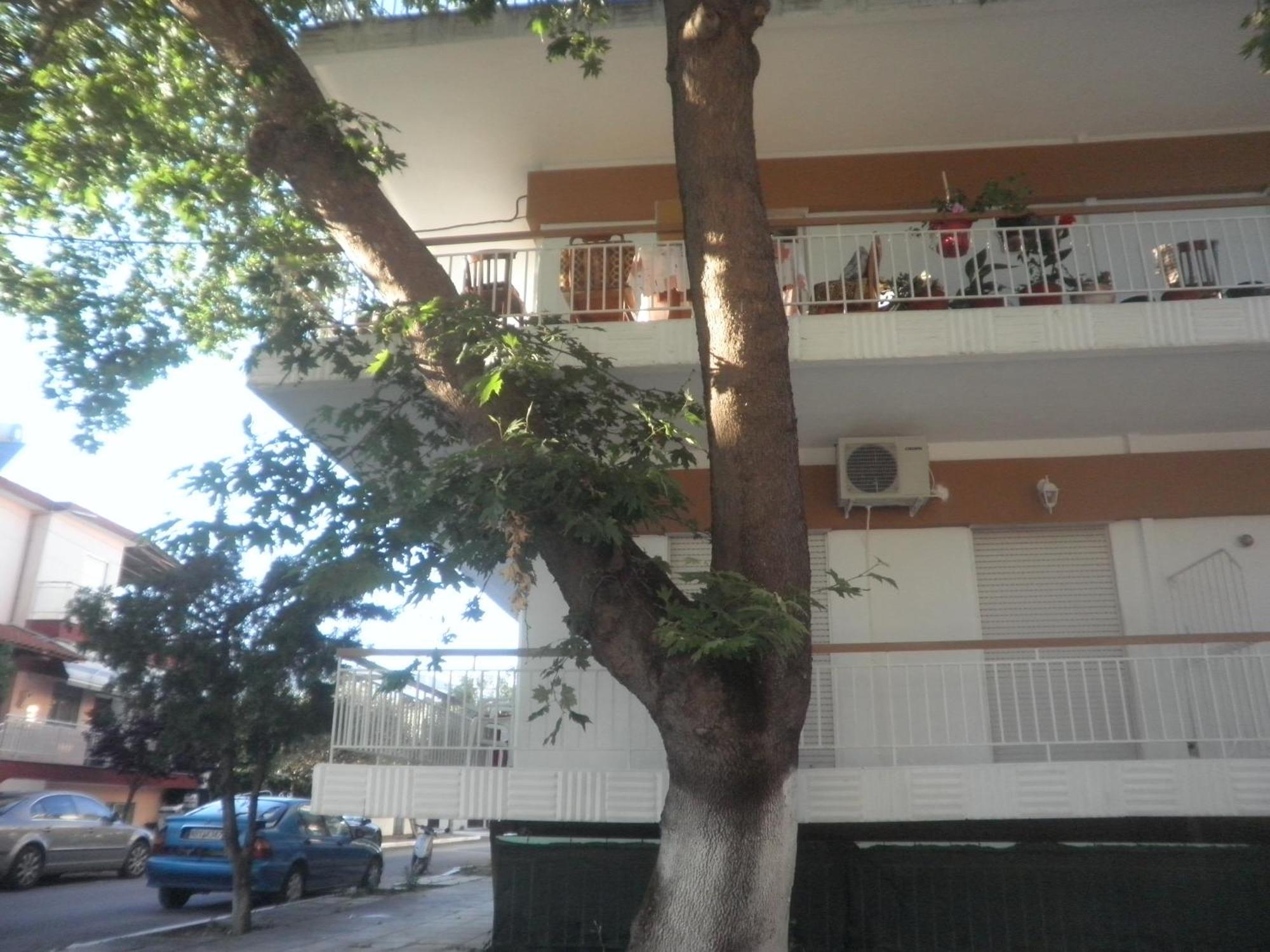 Apartments Anesis Pantazis Asproválta Exteriér fotografie